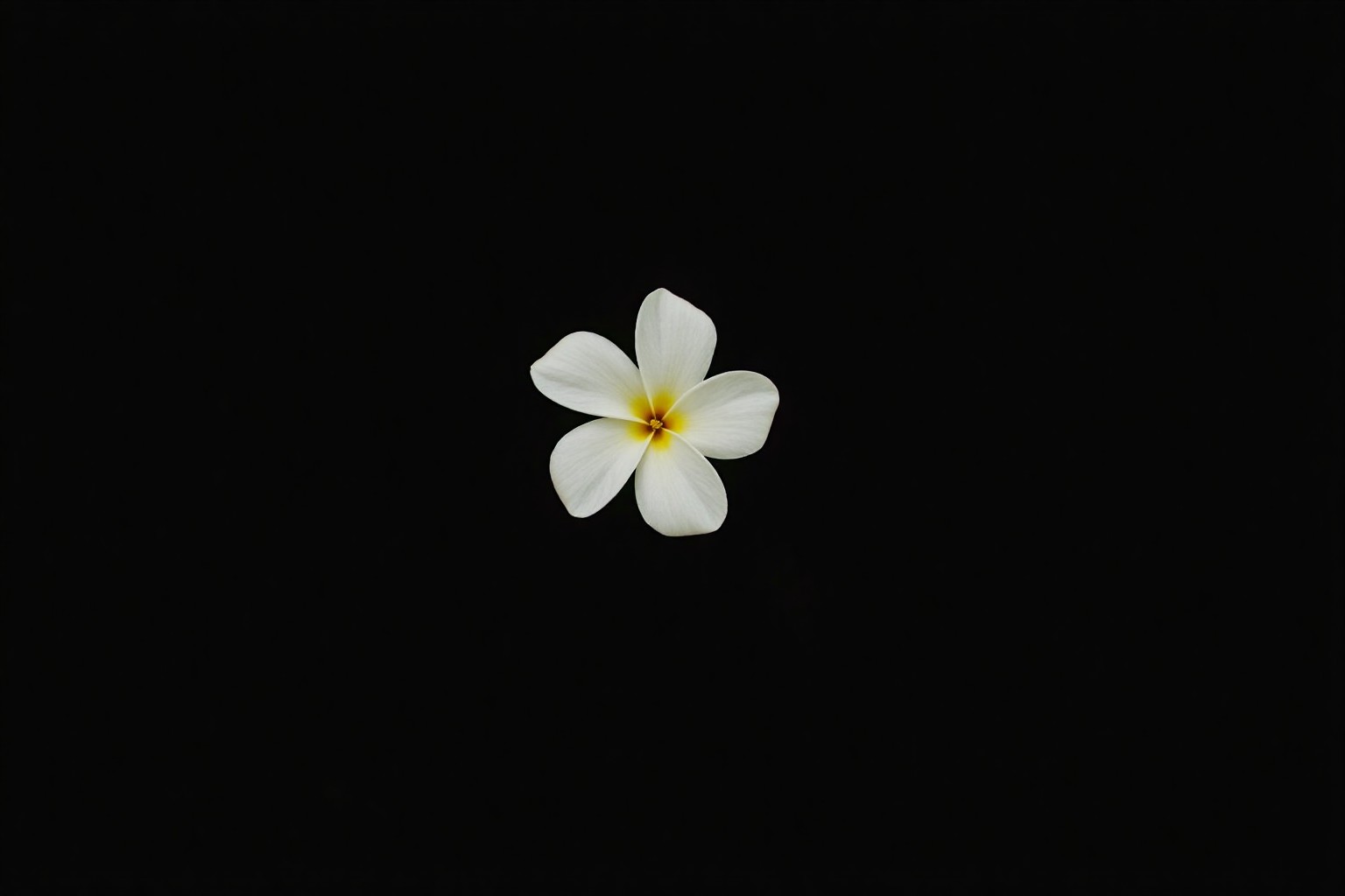 The Beauty of Minimalist Design: Less is More for Maximum Impact